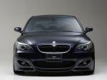 BMW 5-Series Sports Line by Wald 2009 года